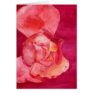 pinkrose cards