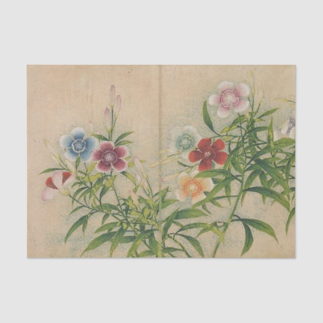 Pinks by Zhang Ruoai Tissue Paper (Front)