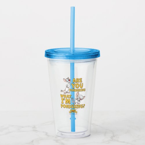 Pinky and the Brain  Are You Pondering Acrylic Tumbler