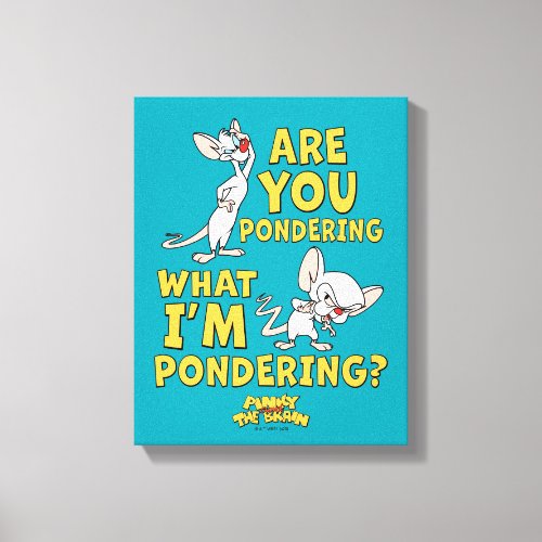 Pinky and the Brain  Are You Pondering Canvas Print