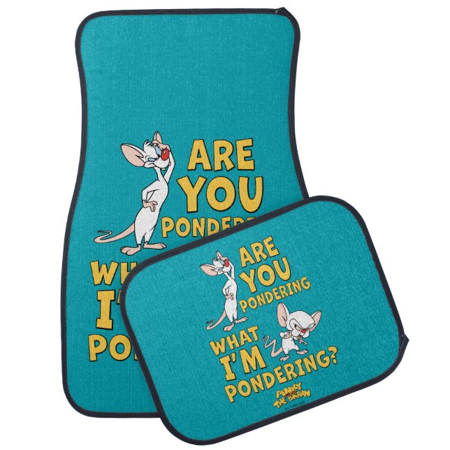 Pinky and the Brain | Are You Pondering? Car Floor Mat (Set)