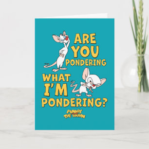 Pinky and the Brain Are You Pondering? Card