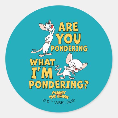 Pinky and the Brain  Are You Pondering Classic Round Sticker