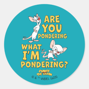 Pinky and the Brain Are You Pondering? Classic Round Sticker