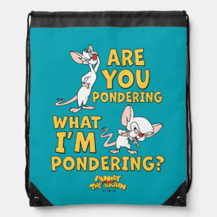 Pinky and the Brain   Are You Pondering? Drawstring Bag