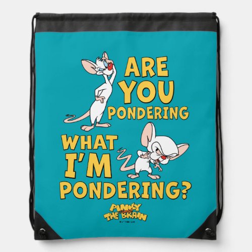 Pinky and the Brain  Are You Pondering Drawstring Bag