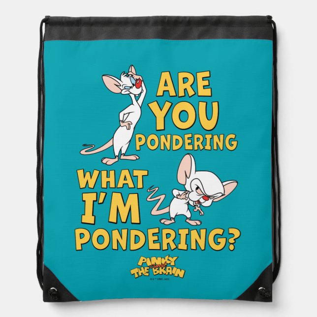 Pinky and the Brain | Are You Pondering? Drawstring Bag (Front)