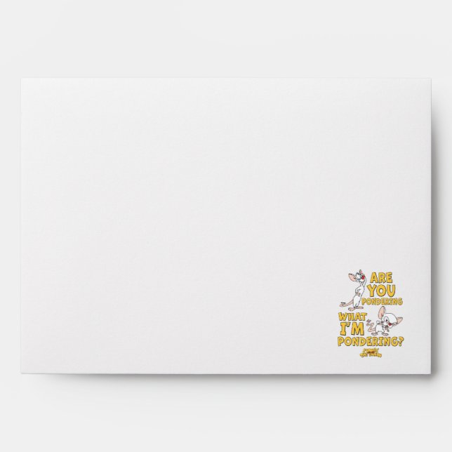 Pinky and the Brain | Are You Pondering? Envelope (Front)