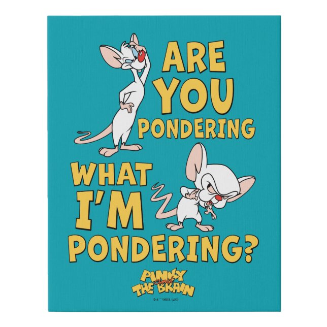 Pinky and the Brain | Are You Pondering? Faux Canvas Print (Front)