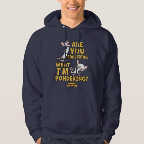 Pinky and the Brain  Are You Pondering Hoodie