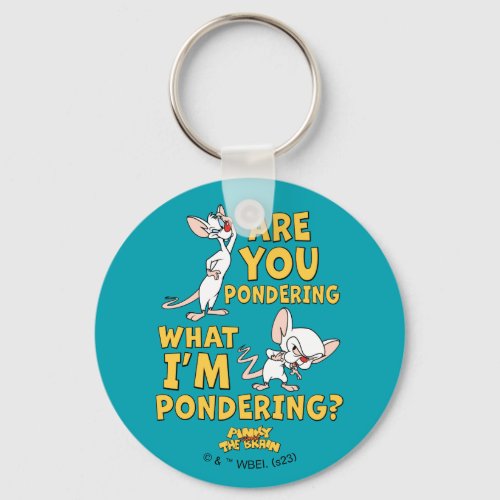 Pinky and the Brain  Are You Pondering Keychain