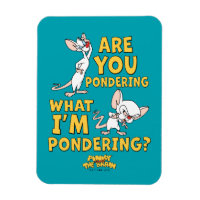 Pinky and the Brain | Are You Pondering?