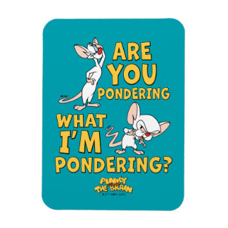 Pinky and the Brain | Are You Pondering? Magnet