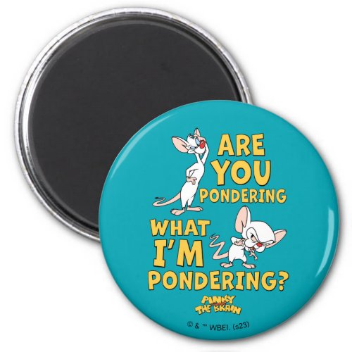 Pinky and the Brain  Are You Pondering Magnet
