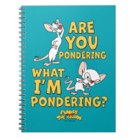 Pinky and the Brain | Are You Pondering?