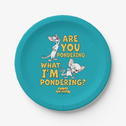 Pinky and the Brain  Are You Pondering Paper Plates