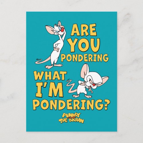Pinky and the Brain  Are You Pondering Postcard