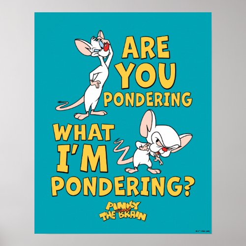 Pinky and the Brain  Are You Pondering Poster