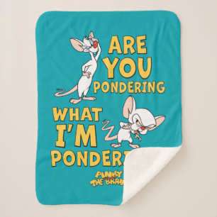 Pinky and the Brain   Are You Pondering? Sherpa Blanket