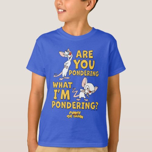Pinky and the Brain  Are You Pondering T_Shirt