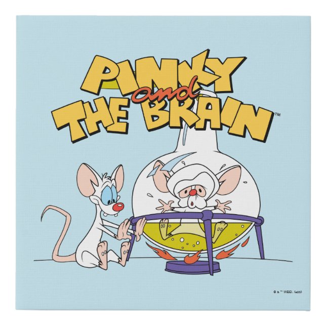 Pinky and the Brain | Laboratory Science Faux Canvas Print (Front)
