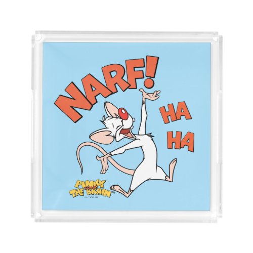 Pinky and the Brain  Pinky Narf Acrylic Tray