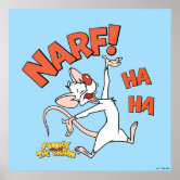 Pinky and the Brain | Retro Character Graphics Poster | Zazzle