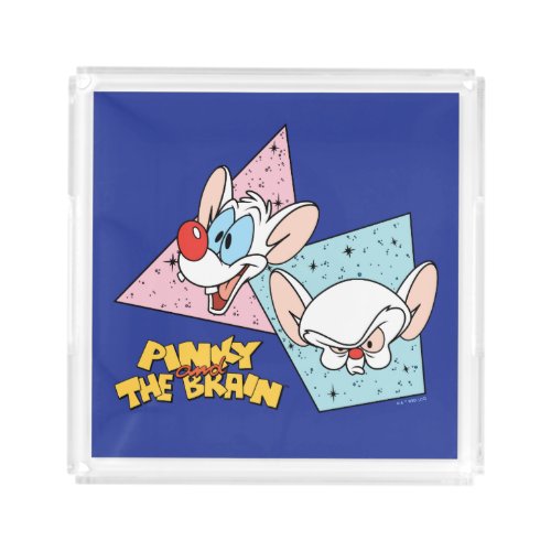 Pinky and the Brain  Retro Character Graphics Acrylic Tray