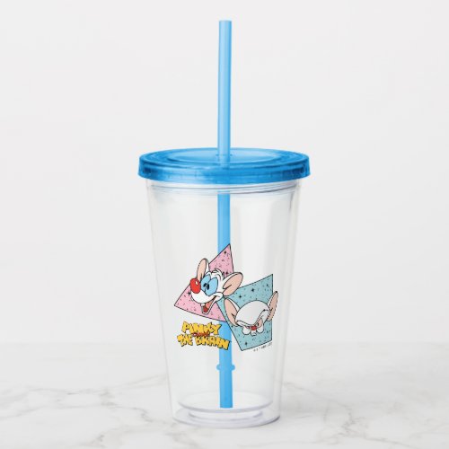 Pinky and the Brain  Retro Character Graphics Acrylic Tumbler