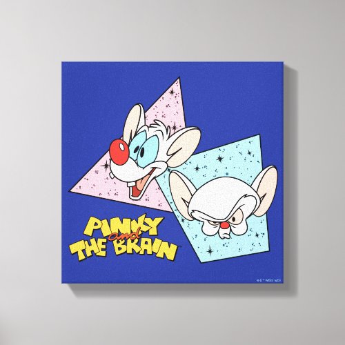 Pinky and the Brain  Retro Character Graphics Canvas Print