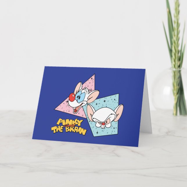 Pinky and the Brain | Retro Character Graphics Card (Front)