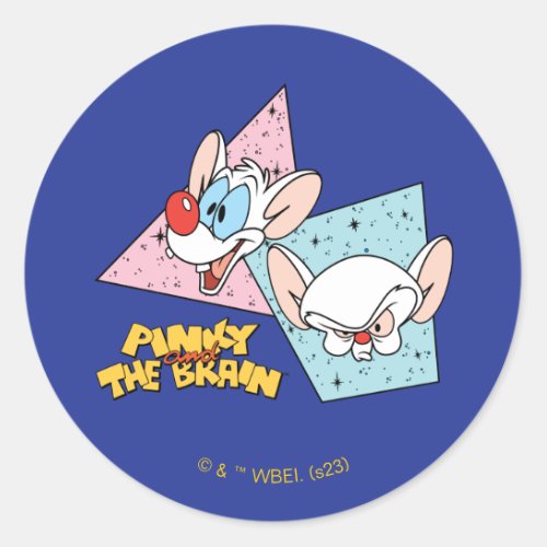 Pinky and the Brain  Retro Character Graphics Classic Round Sticker