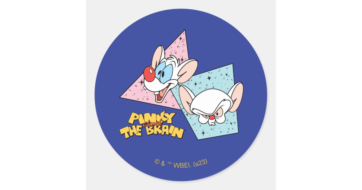 Pinky and the Brain in 90s Characters 