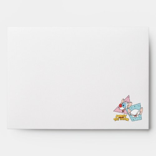 Pinky and the Brain  Retro Character Graphics Envelope