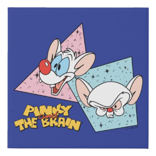 Pinky and the Brain  Retro Character Graphics Faux Canvas Print