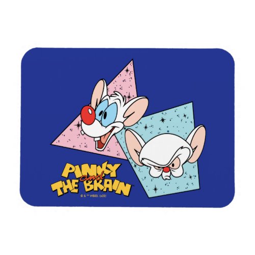 Pinky and the Brain  Retro Character Graphics Magnet