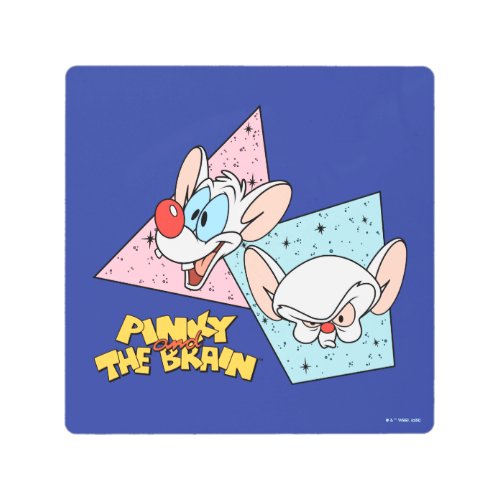 Pinky and the Brain  Retro Character Graphics Metal Print