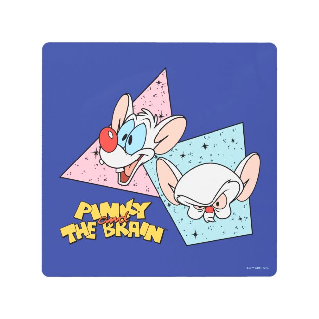 Pinky and the Brain | Retro Character Graphics Metal Print (Front)