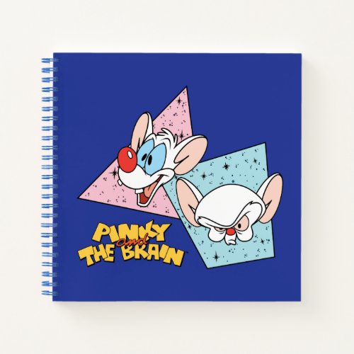 Pinky and the Brain  Retro Character Graphics Notebook