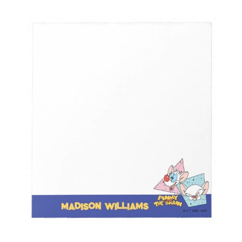 Pinky and the Brain  Retro Character Graphics Notepad