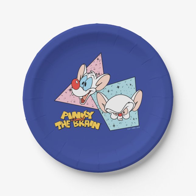 Pinky and the Brain | Retro Character Graphics Paper Plates (Front)