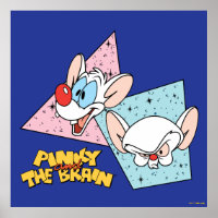 Pinky and the Brain | Retro Character Graphics