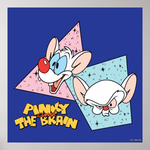 Pinky and the Brain  Retro Character Graphics Poster