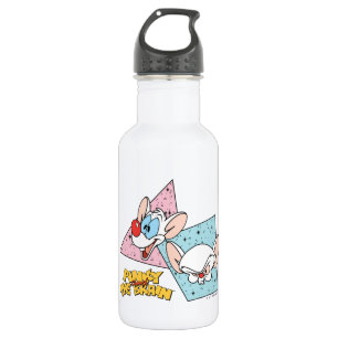 Pinky and the Brain   Retro Character Graphics Stainless Steel Water Bottle