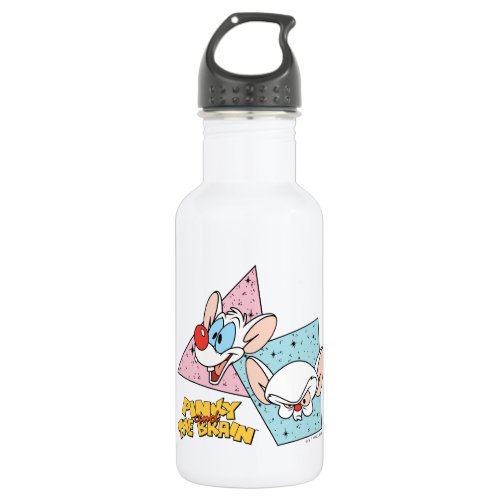 Pinky and the Brain  Retro Character Graphics Stainless Steel Water Bottle