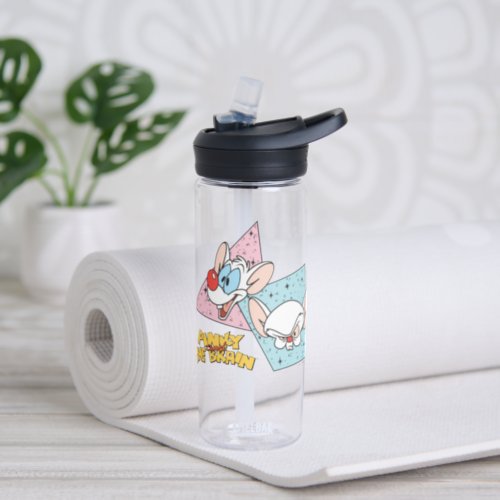 Pinky and the Brain  Retro Character Graphics Water Bottle