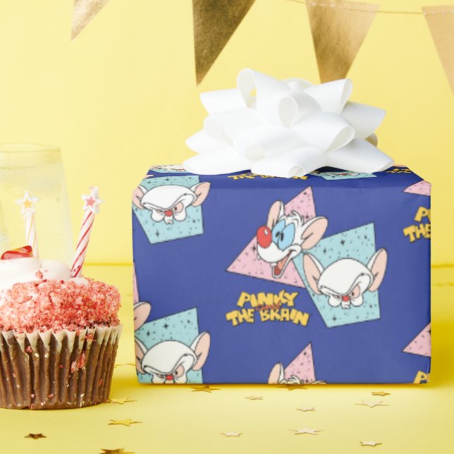 Pinky and the Brain | Retro Character Graphics Wrapping Paper (Birthday Party)