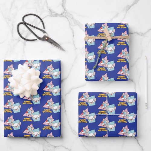 Pinky and the Brain  Retro Character Graphics Wrapping Paper Sheets