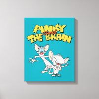 Pinky and the Brain | Show Logo