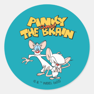 Pinky and the Brain   Show Logo Classic Round Sticker